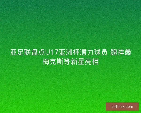 亚足联盘点U17亚洲杯潜力球员 魏祥鑫梅克斯等新星亮相