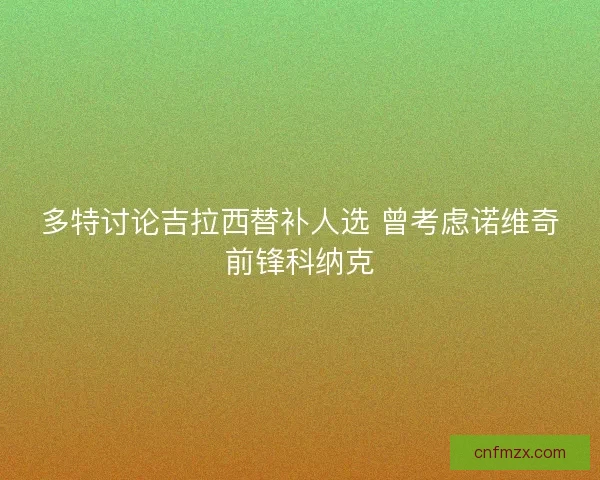 多特讨论吉拉西替补人选 曾考虑诺维奇前锋科纳克
