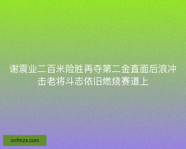 谢震业二百米险胜再夺第二金直面后浪冲击老将斗志依旧燃烧赛道上
