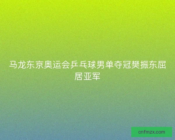 马龙东京奥运会乒乓球男单夺冠樊振东屈居亚军